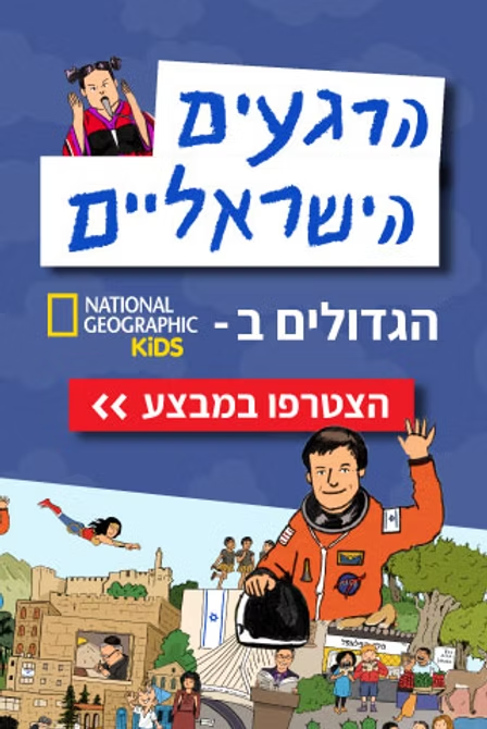 באנר אנכי