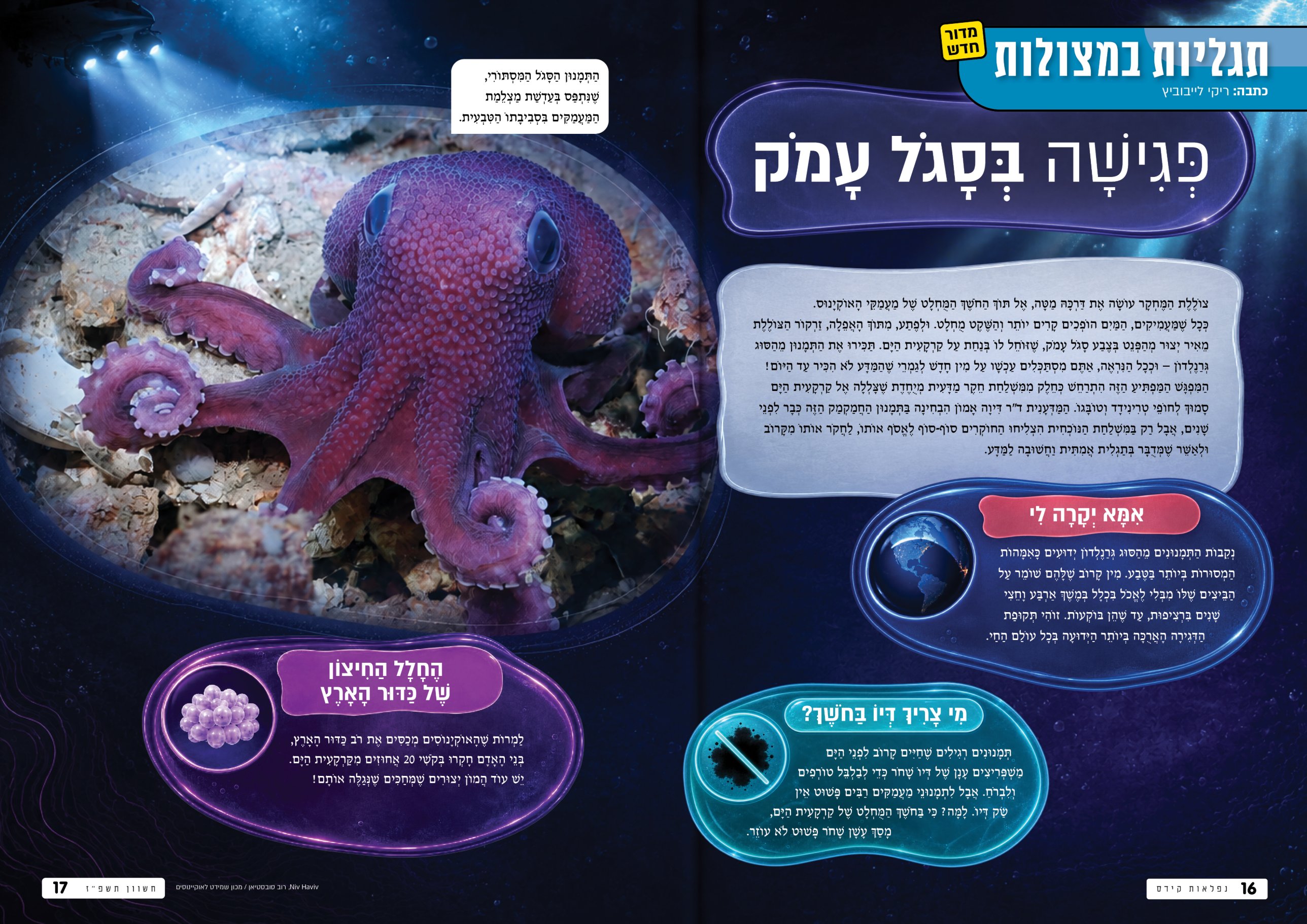 כפולת מגזין: פגישה בסגל עמק, תמנון בעומק הים