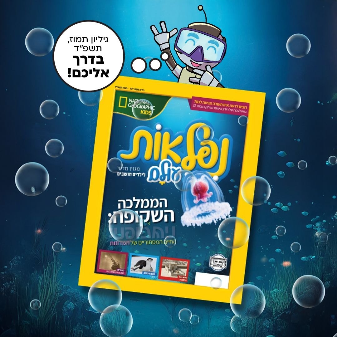 פוסט סושיאל עם כריכת נפלאות עולם מתחת למים