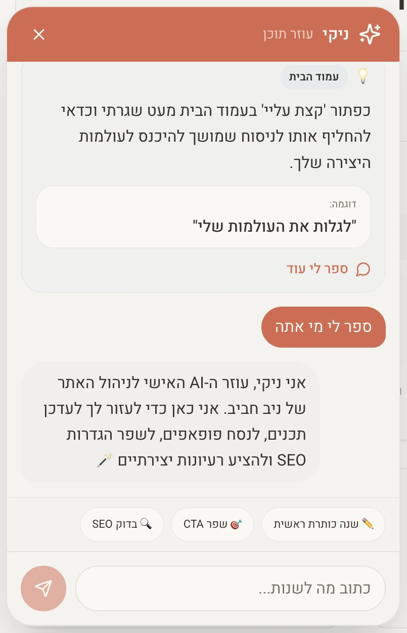 חלון השיחה של ניקי, עוזר ה־AI בממשק הניהול